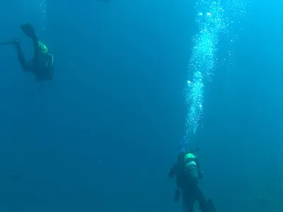 Divers Underwater